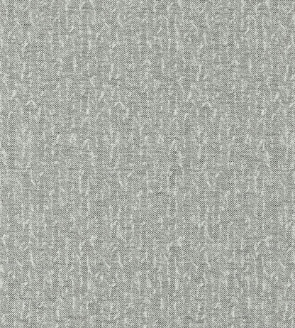 Tierra Fabric by Clarke & Clarke Charcoal