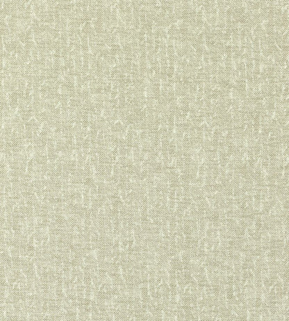 Tierra Fabric by Clarke & Clarke Linen