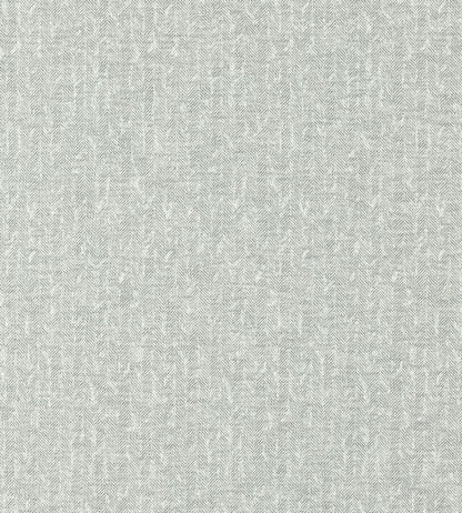 Tierra Fabric by Clarke & Clarke Pewter