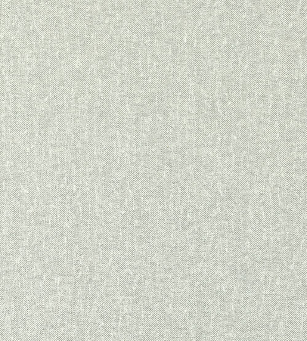 Tierra Fabric by Clarke & Clarke Silver