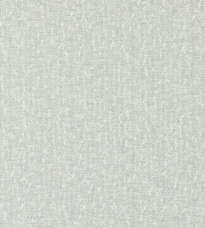 Tierra Fabric by Clarke & Clarke Silver