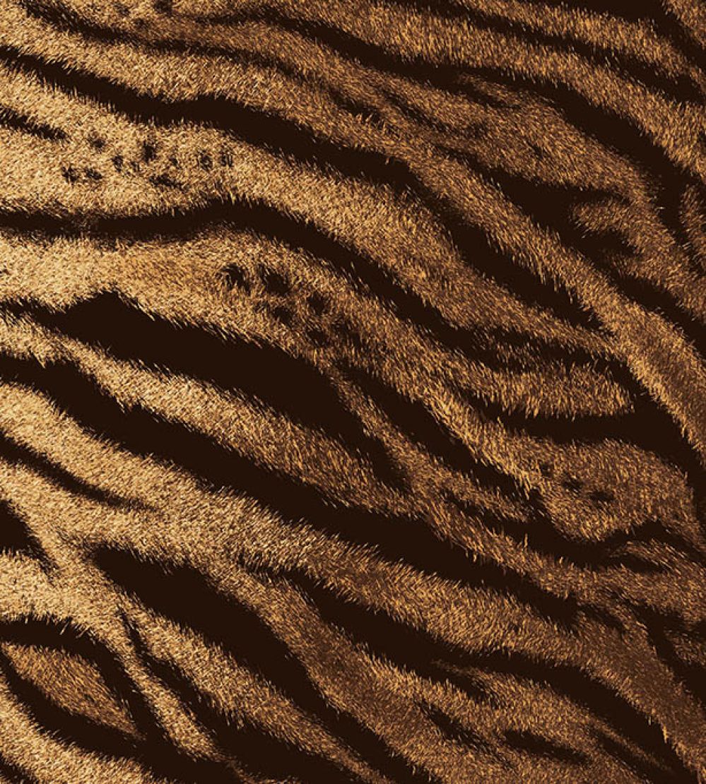 Tiger Fabric by Arley House Caramel