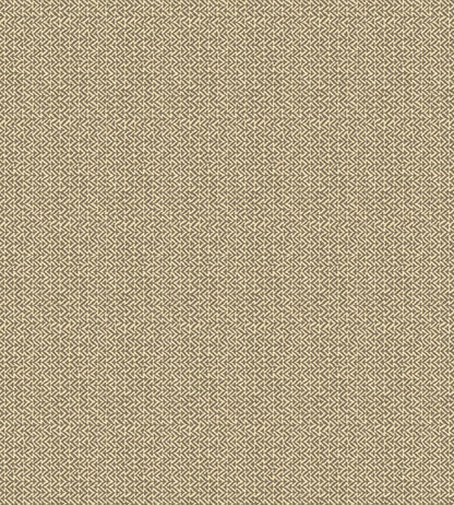 Tilly Wallpaper by GP & J Baker Charcoal