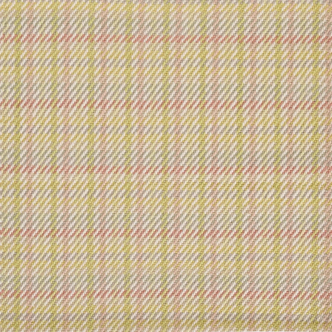 Tírna Rug by Pierre Frey in Églantine (FT545001)