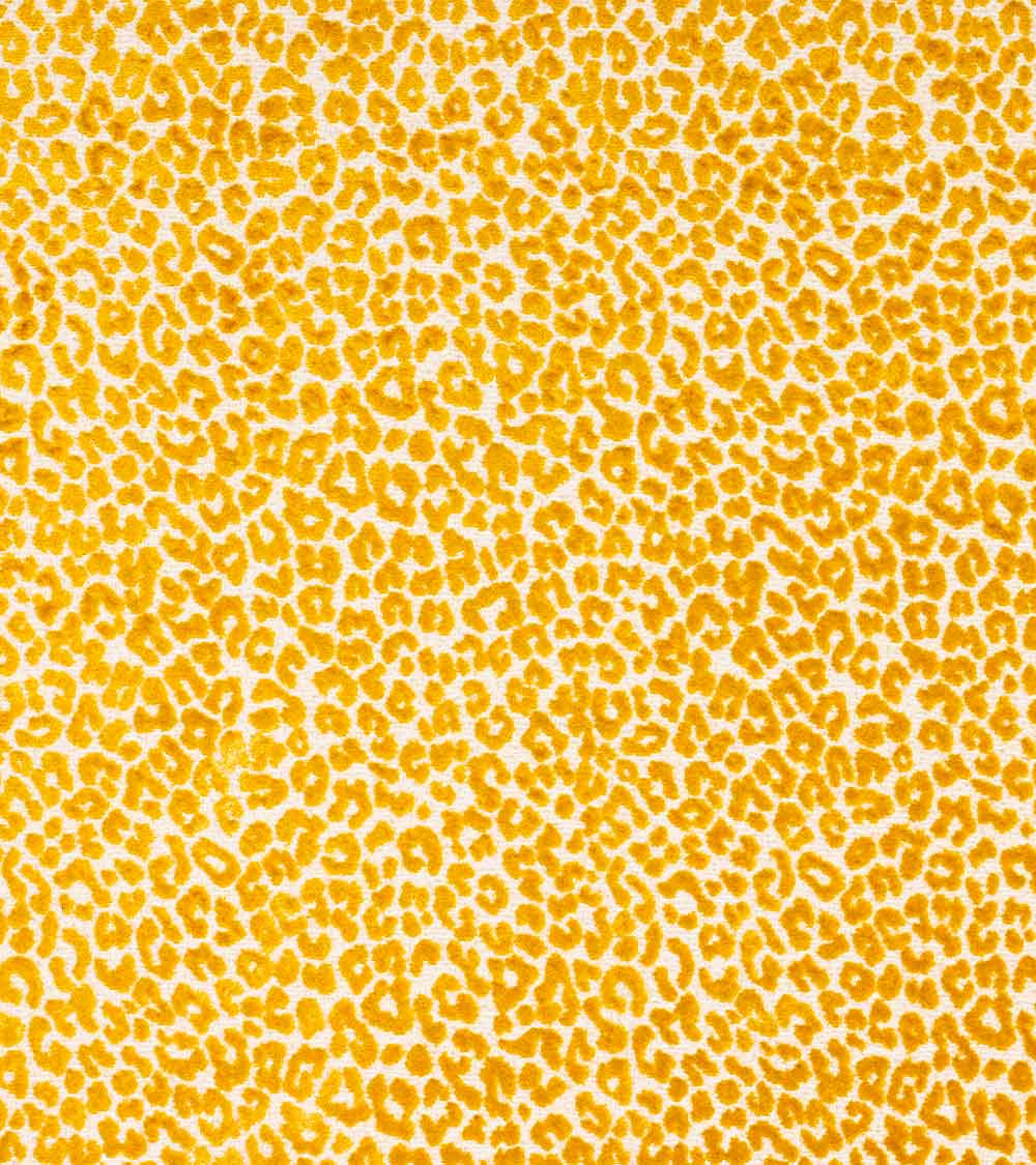 Bagheera Fabric by Casa Lopez in Yellow
