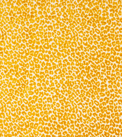 Bagheera Fabric by Casa Lopez in Yellow