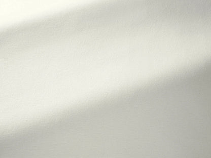 Toile Mistral by Pierre Frey in Chaux (F3522001)