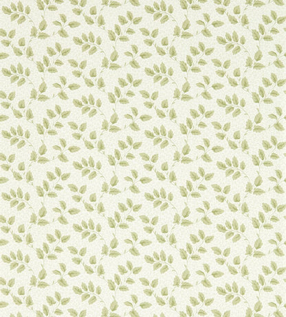 Tomato Leaf Wallpaper by Sanderson Leaf Green