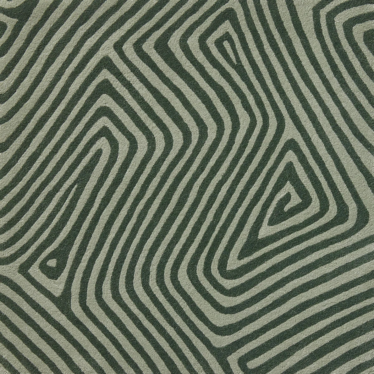 Tonga 2 Couleurs Rug by Pierre Frey in Pistache (FT202002)