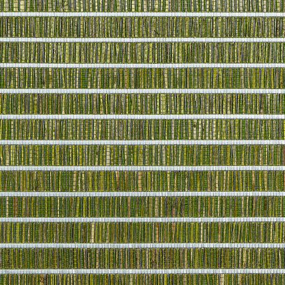Totally Tatami Grasscloth Wallpaper by Phillip Jeffries in Soft Rush Green (PJ 1983)
