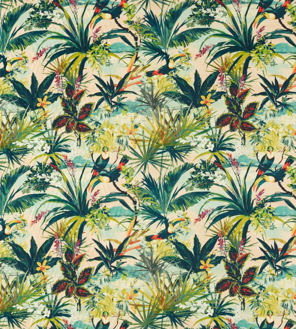Toucan Fabric by Clarke & Clarke Blush