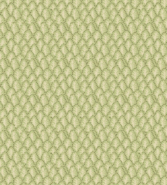 Trees II Wallpaper by Parker & Jules Pistachio