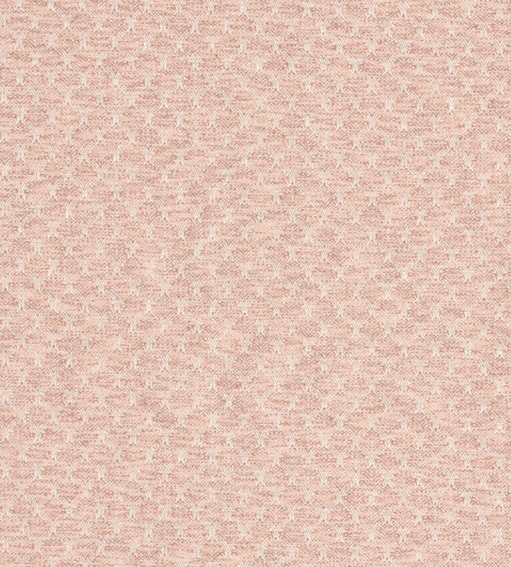 Trelica Fabric by Clarke & Clarke Blush