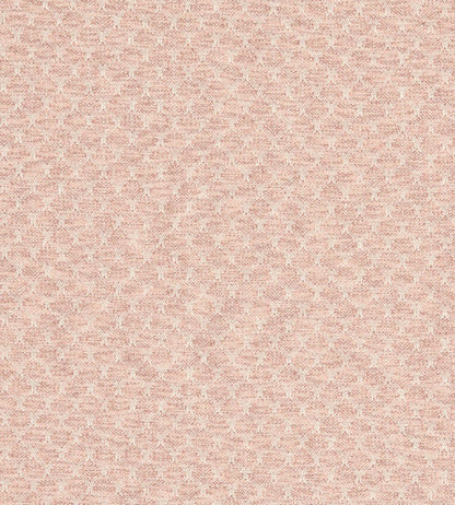 Trelica Fabric by Clarke & Clarke Blush