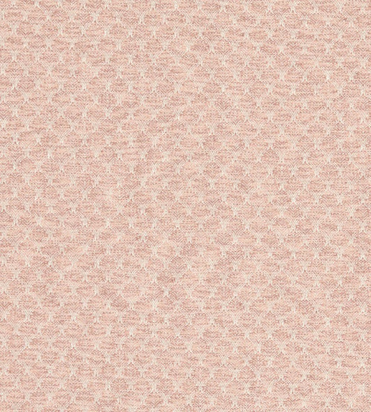 Trelica Fabric by Clarke & Clarke Blush