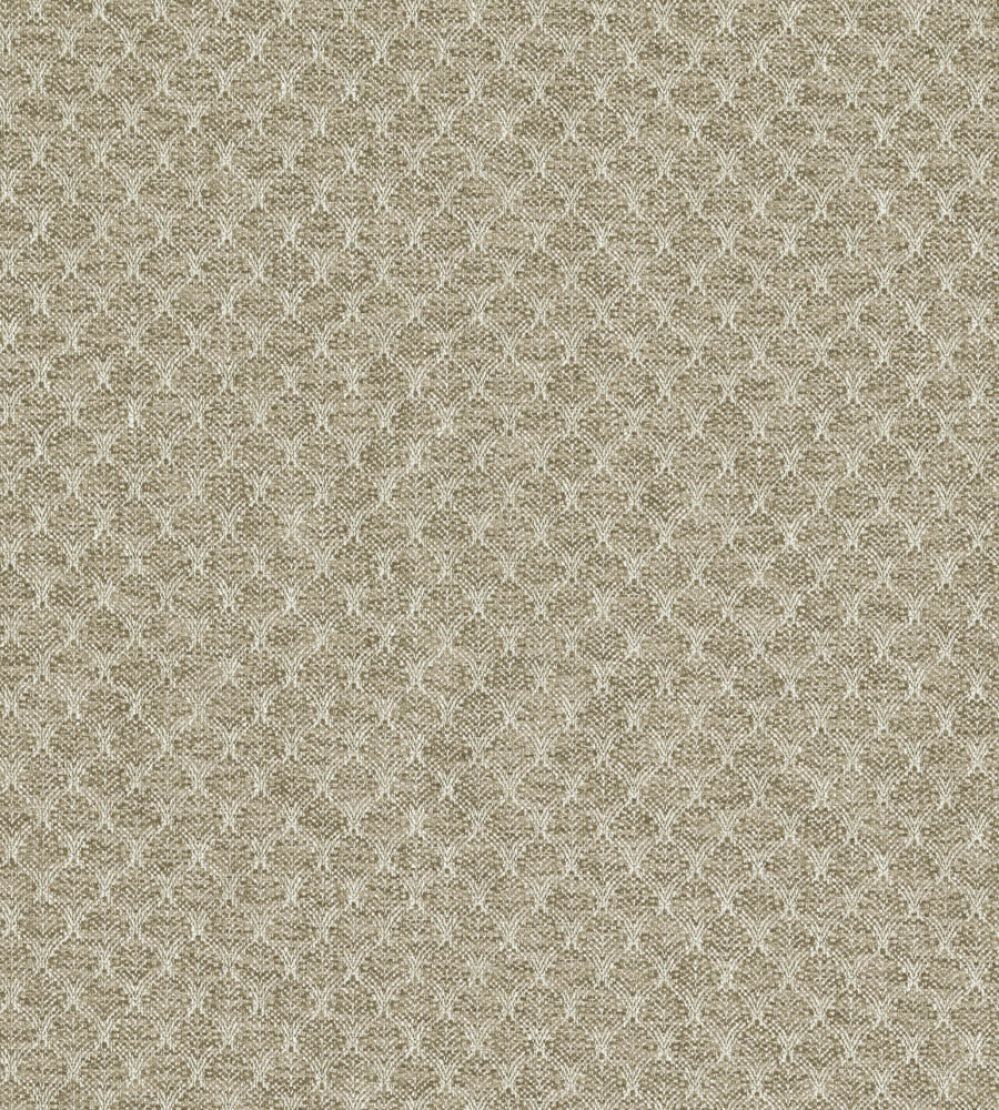 Trelica Fabric by Clarke & Clarke Natural