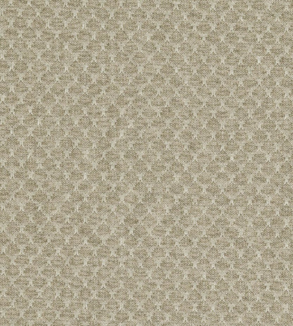 Trelica Fabric by Clarke & Clarke Natural