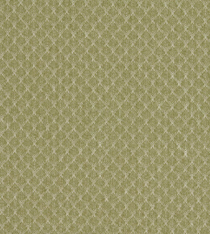 Trelica Fabric by Clarke & Clarke Olive
