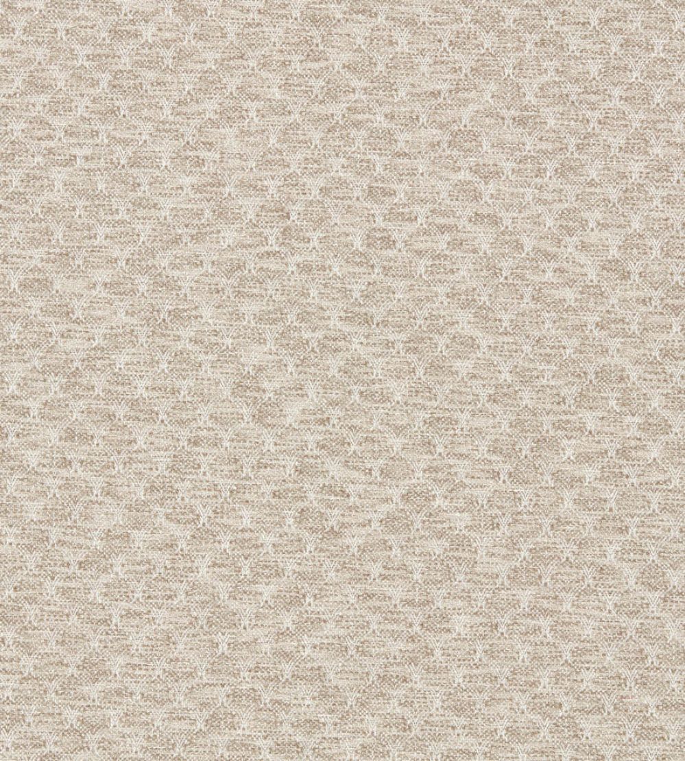 Trelica Fabric by Clarke & Clarke Pebble