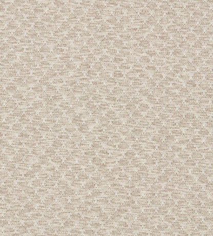 Trelica Fabric by Clarke & Clarke Pebble