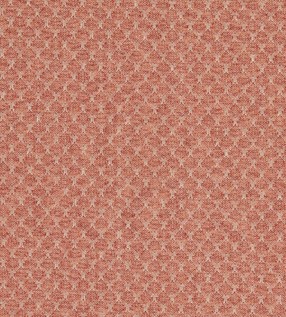 Trelica Fabric by Clarke & Clarke Spice