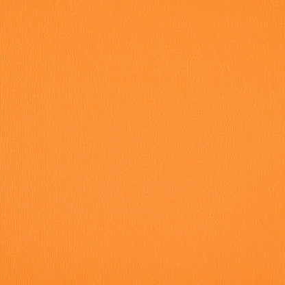 TRH5881 Solid Outdoor Acrylic Canvas swatch, colorway TRH5881.AA (orange)