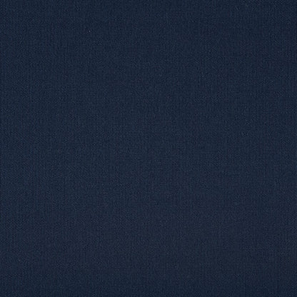 TRH5881 Solid Outdoor Acrylic Canvas swatch, colorway TRH5881.AF (blue)