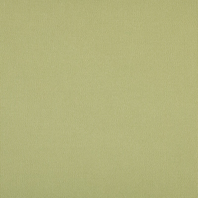 TRH5881 Solid Outdoor Acrylic Canvas swatch, colorway TRH5881.AG (green)