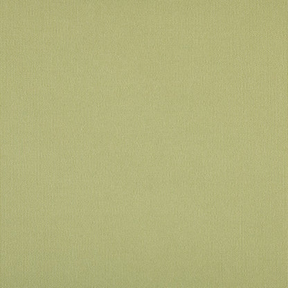 TRH5881 Solid Outdoor Acrylic Canvas swatch, colorway TRH5881.AG (green)
