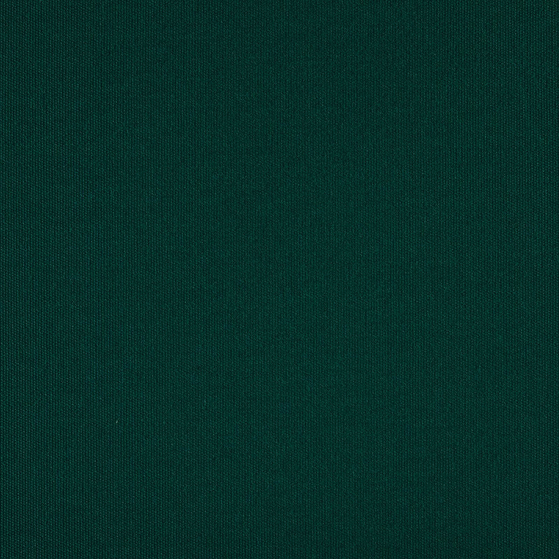 TRH5881 Solid Outdoor Acrylic Canvas swatch, colorway TRH5881.AH (green)