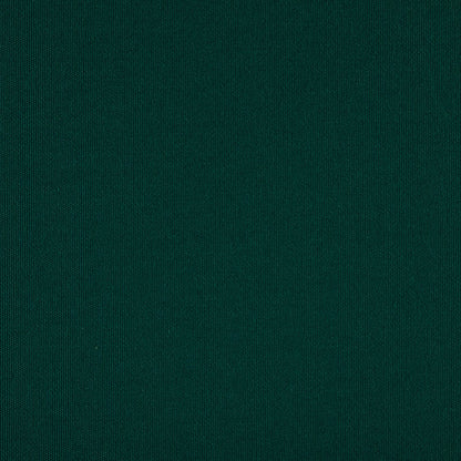 TRH5881 Solid Outdoor Acrylic Canvas swatch, colorway TRH5881.AH (green)