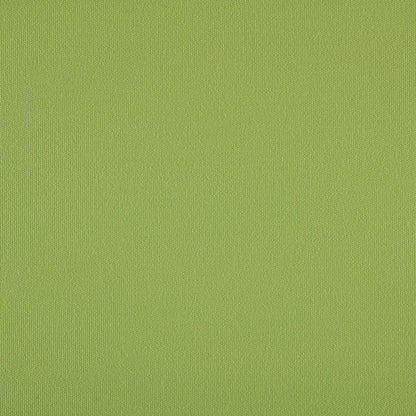 TRH5881 Solid Outdoor Acrylic Canvas swatch, colorway TRH5881.AI (green)