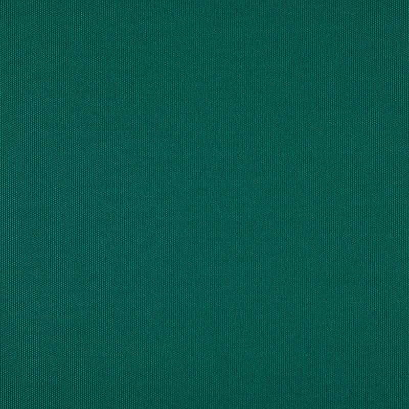TRH5881 Solid Outdoor Acrylic Canvas swatch, colorway TRH5881.AJ (green)