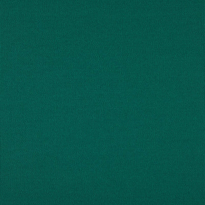 TRH5881 Solid Outdoor Acrylic Canvas swatch, colorway TRH5881.AJ (green)