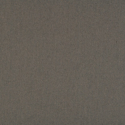 TRH5881 Solid Outdoor Acrylic Canvas swatch, colorway TRH5881.AM (grey)