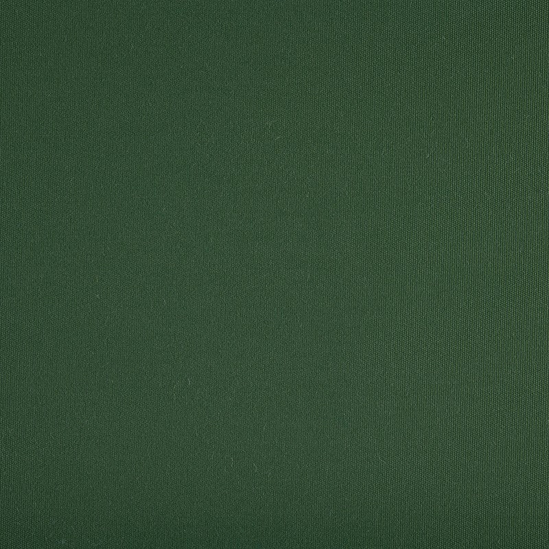 TRH5881 Solid Outdoor Acrylic Canvas swatch, colorway TRH5881.AQ (green)