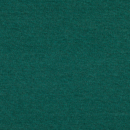 TRH5881 Solid Outdoor Acrylic Canvas swatch, colorway TRH5881.AT (green)