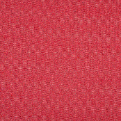 TRH5881 Solid Outdoor Acrylic Canvas swatch, colorway TRH5881.AY (red)