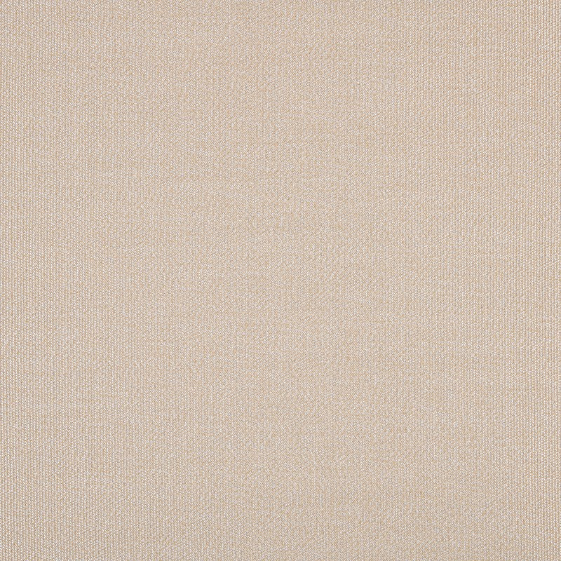 TRH5881 Solid Outdoor Acrylic Canvas swatch, colorway TRH5881.AZ (neutral)
