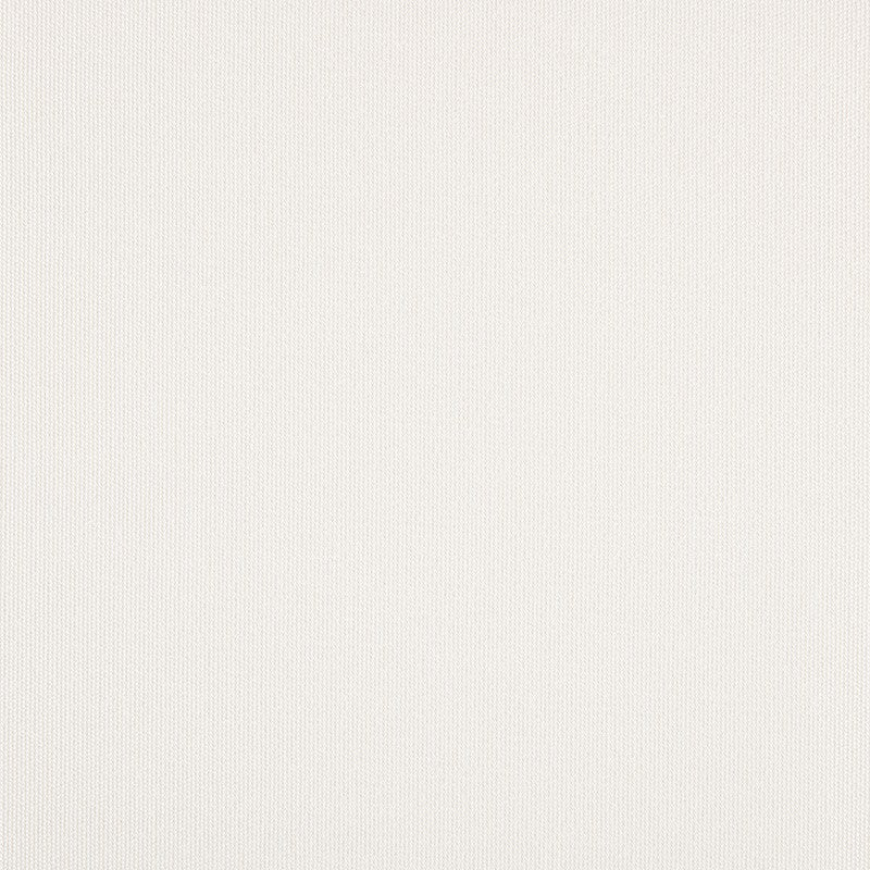 TRH5881 Solid Outdoor Acrylic Canvas swatch, colorway TRH5881.BA (white)