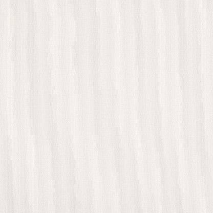TRH5881 Solid Outdoor Acrylic Canvas swatch, colorway TRH5881.BA (white)