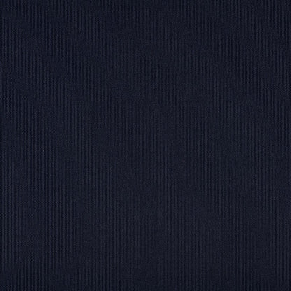 TRH5881 Solid Outdoor Acrylic Canvas swatch, colorway TRH5881.BB (blue)