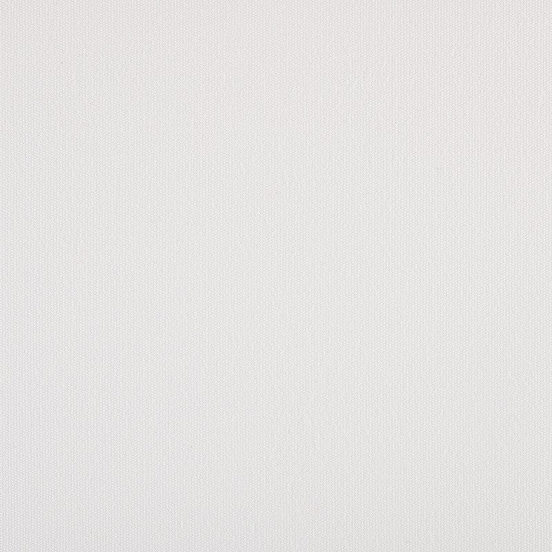 TRH5881 Solid Outdoor Acrylic Canvas swatch, colorway TRH5881.BC (white)