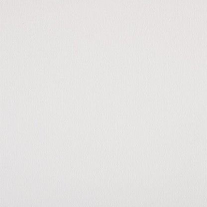 TRH5881 Solid Outdoor Acrylic Canvas swatch, colorway TRH5881.BC (white)