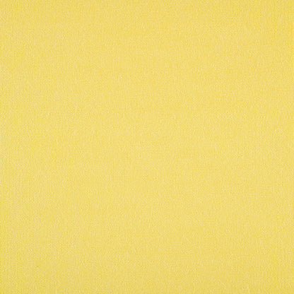 TRH5881 Solid Outdoor Acrylic Canvas swatch, colorway TRH5881.BD (yellow)