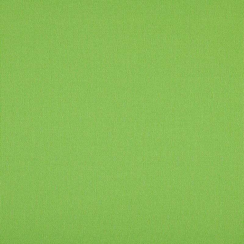 TRH5881 Solid Outdoor Acrylic Canvas swatch, colorway TRH5881.BE (green)