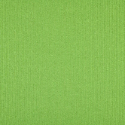 TRH5881 Solid Outdoor Acrylic Canvas swatch, colorway TRH5881.BE (green)