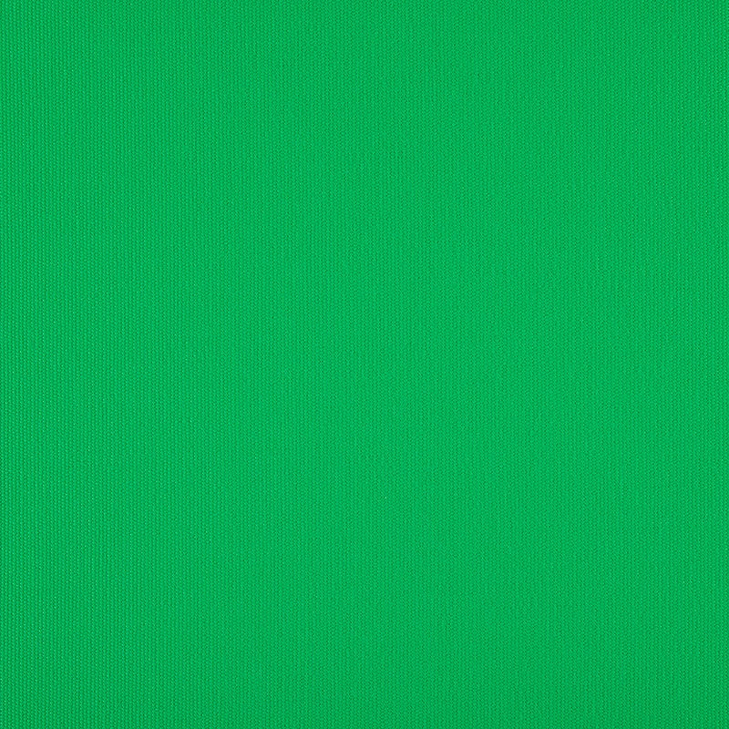 TRH5881 Solid Outdoor Acrylic Canvas swatch, colorway TRH5881.BF (green)