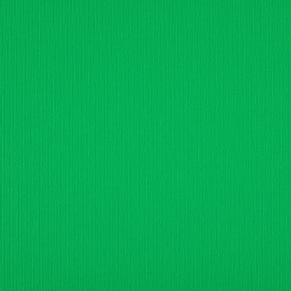 TRH5881 Solid Outdoor Acrylic Canvas swatch, colorway TRH5881.BF (green)