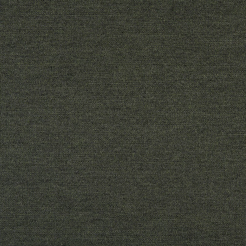 TRH5881 Solid Outdoor Acrylic Canvas swatch, colorway TRH5881.BG (green)